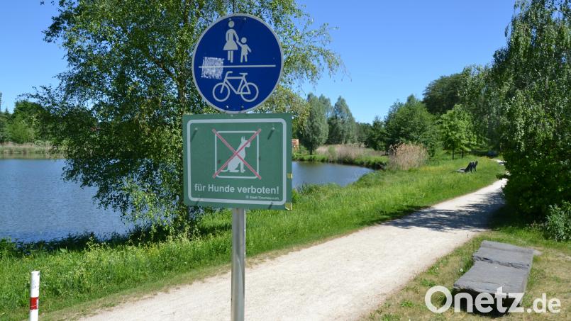 "Für Hunde verboten" ist der Fischhofpark ab dem Amtsgericht-Parkplatz bis kurz vor dem Zugang zum Fischhofpark-Parkplatz auf der gegenüberliegenden Seite. Das Thema kam in der jüngsten Stadtratssitzung zur Sprache. Bild: Thorsten Schreiber