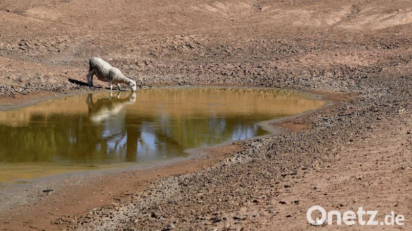Die NOAA hat den Beginn von El Niño verkündet. (Symbolbild) Bild: Dean Lewins/AAP/dpa