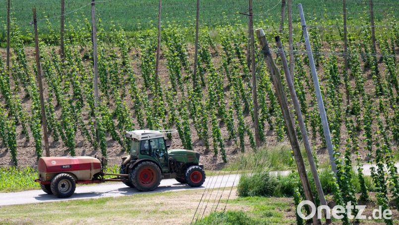 Ein bayerischer Hopfenpflanzer bei der Arbeit. Archivbild: Sven Hoppe/dpa