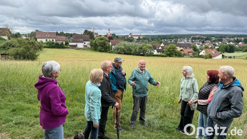 Befürchten, nicht ausreichen eingebunden zu werden: Die Anwohner der Sauerzapfstraße am nördlichen Rand des künftigen Baugebiets (die Wiese im Hintergrund), in der Mitte Josef Brunner. Bild: Petra Hartl