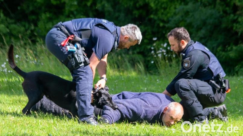 Realistische Einsatzübung: Der Hund kannte kein Pardon und stellte den Täter mit rasender Geschwindigkeit. Bild: mfh
