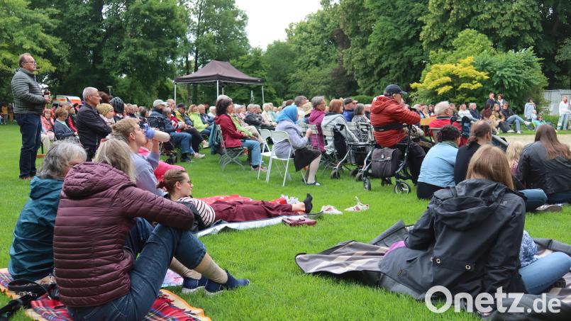 Rund 400 Besucher machten es sich bei der ersten Sommerserenade im Max-Reger-Park gemütlich. Bild: Helmut Kunz