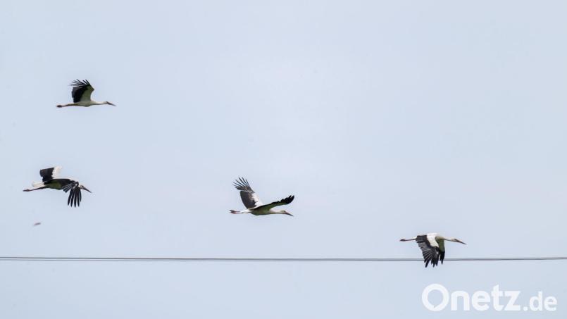 Das Wetter in Bayern stabilisiert sich. Bild: Pia Bayer/dpa