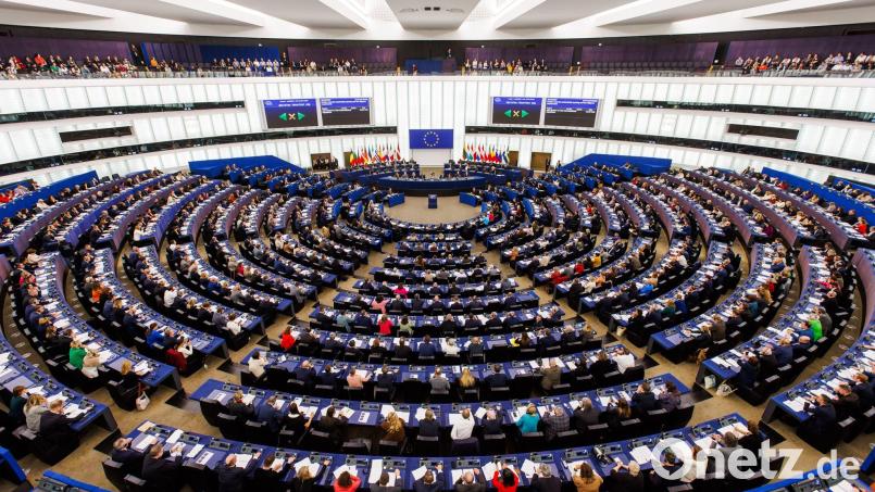 Grünes Licht vom EU-Parlament für „Return Hubs“ außerhalb Europas. (Archivbild) Bild: Philipp von Ditfurth/dpa