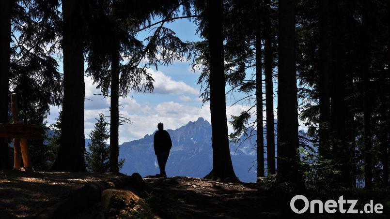 In den Allgäuer Alpen will die Polizei in den kommenden Wochen verstärkt Naturschutzkontrollen durchführen. (Symbolbild) Bild: Karl-Josef Hildenbrand/dpa