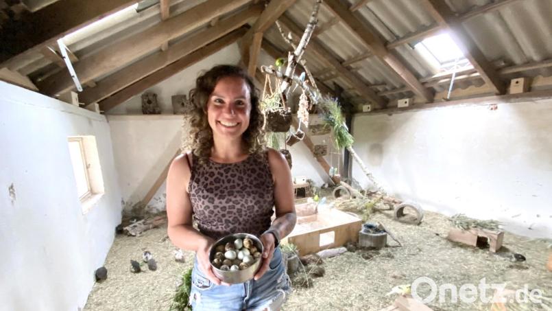 Die Wachteln legen gut. Yvonne Mann freut sich über die kleinen Eier: "Sie sind ein richtiges Superfood". Bild: Claudia Völkl