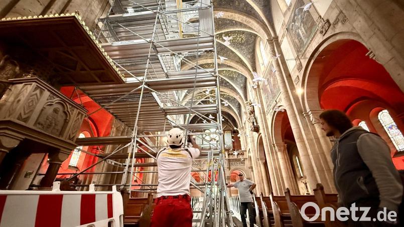 Gerüste reichen in St. Josef bis unter das Gewölbe: Bis Ende Oktober untersuchen Fachleute die Substanz der Kirche und schaffen die Grundlage für die geplante Innensanierung. Bild: Gabi Schönberger