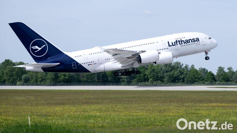 Auch zu Hause in einem Flugzeugsitz lümmen? Wer das möchte, kann bei einer Versteigerung mitmachen. (Symbolbild) Bild: Sven Hoppe/dpa