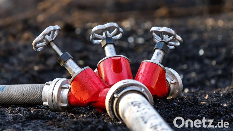 Rund 350 Kräfte der Feuerwehr löschten den Waldbrand. (Symbolbild) Bild: Frank Hammerschmidt/dpa