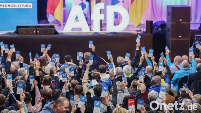 Die bayerische AfD trifft sich zu einem Parteitag. (Archivbild) Bild: Daniel Löb/dpa