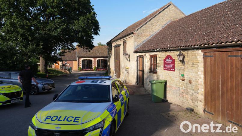 Der Besuch in einem britischen Zoo endet für einen Dreijährigen dramatisch: Ein Mann soll ihn in das Krokodilgehege geworfen haben, das Kind wird schwer verletzt. Bild: Joe Giddens/PA Wire/dpa