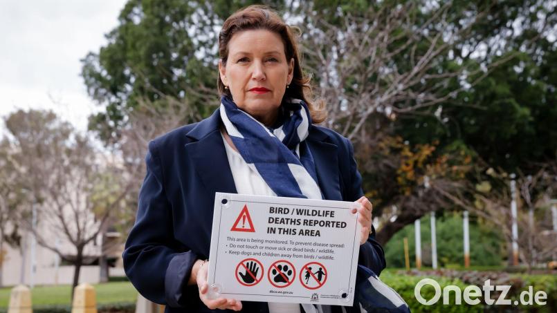 Die tödliche Virusvariante der Vogelgrippe hat das australische Festland erreicht. Bild: Richard Wainwright/AAP/dpa