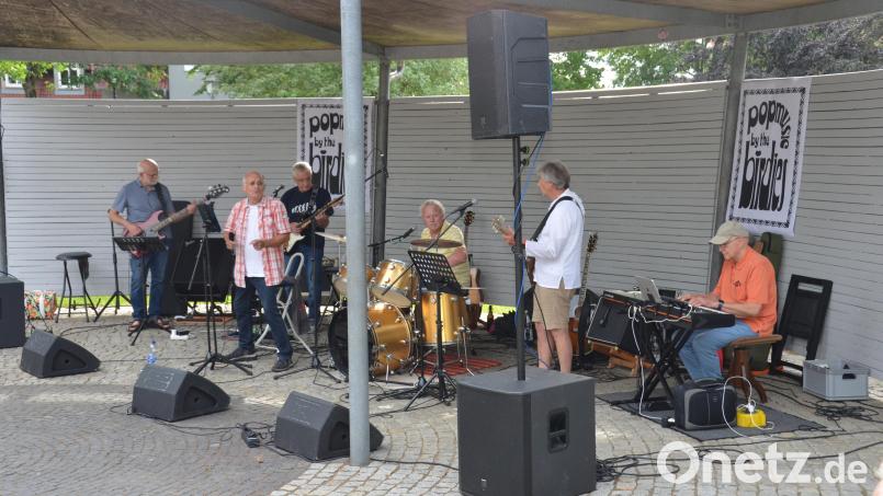 Einen traumhaften Auftakt der diesjährigen Sommerserenaden erlebten die Besucher im Stadtpark am Sonntagabend. Die Gruppe "The Birdies" nannte Bürgermeister Uli Münchmeier genial. Bild: Elisabeth Dobmayer