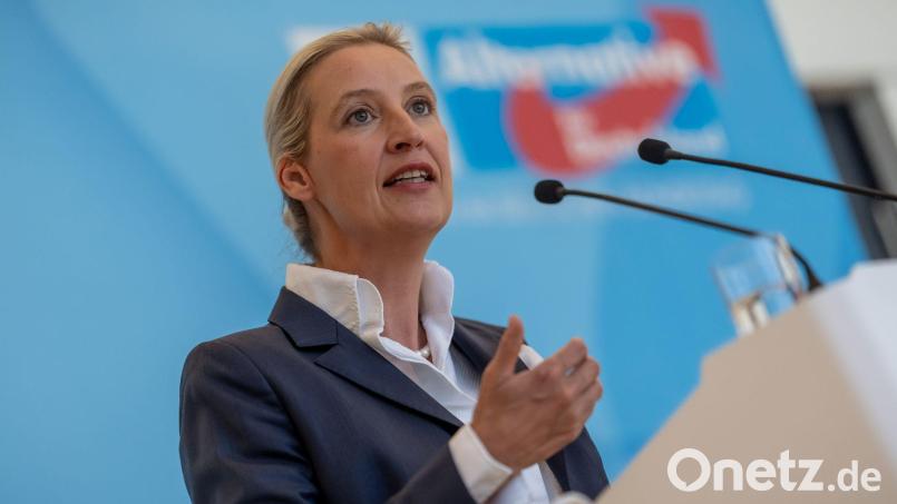 AfD-Chefin Alice Weidel bemängelt, die Empfehlungen der Rentenkommission seien nicht ausreichend. Bild: Michael Kappeler/dpa