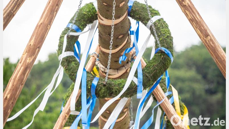 Das Baumaufstellen gehört zu jeder Kirwa. Die Machbarkeitsstudie für ein geplantes Kirwamuseum in Amberg-Sulzbach ist abgeschlossen. Die Ergebnisse werden am 10. Juli präsentiert. Symbolbild: Mike Radowsky