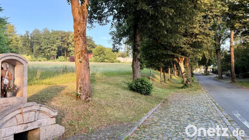 N52 nennt sich die Wiese oberhalb der Felixallee im Flächennutzungsplan. Mit 11 gegen 10 Stimmen beschloss der Stadtrat, sie als Wohnbaufläche vorzusehen. Bild: Gabi Schönberger
