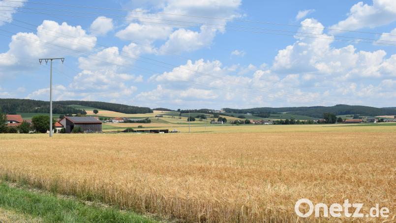 Südöstlich von Dietstätt (Gemarkung Weiding) will die Hauser Energie GmbH & Co. KG eine Agri-PV-Anlage errichten.. Das Bauleitvefahren steht kurz vor dem Abschluss. Bild: Richard Braun