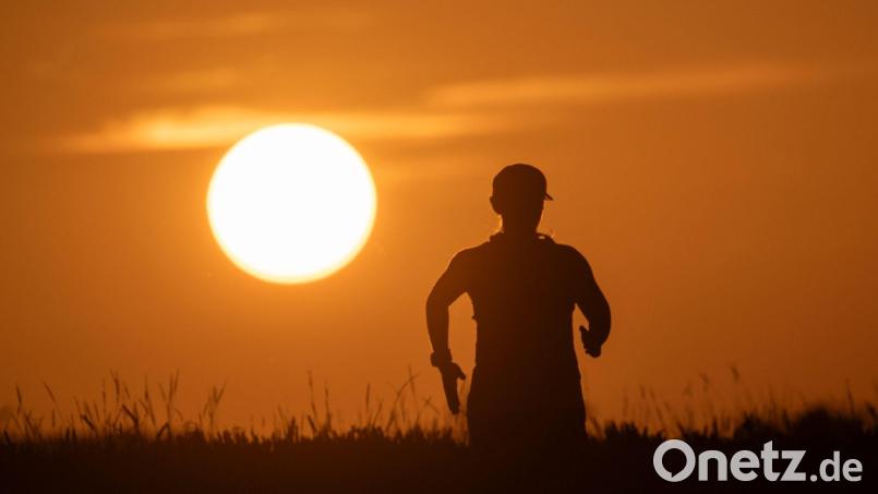 Tagsüber an die 40 Grad, nachts über 20 Grad: Deutschland schwitzt. Bild: Marijan Murat/dpa
