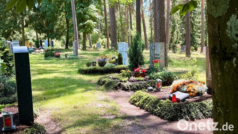 Die Reihen bei den Erdgräbern lichten sich auf dem Stadtfriedhof und Waldfriedhof (Foto) in Weiden. Im Jahr 2025 waren 75 Prozent aller Bestattungen bereits Urnenbeisetzungen. Bild: Gabi Schönberger