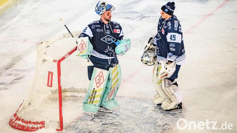 Nach nur einer Saison müssen die Dresdner Eislöwen wieder in die DEL2. (Archivbild) Bild: Robert Michael/dpa