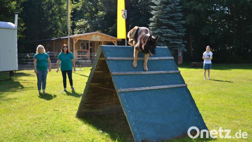 Brigitte Aronhime (links), Vorsitzende des Schäferhundevereins Tirschenreuth, schickt ihren knapp sechs Jahre alten Schäferhund-Rüden "Boston vom Haus Gleißner" über ein Hindernis. Zuchtwartin Bettina Kreuzer (Zweite von links) verfolgt das Geschehen auf dem Übungsplatz an der Annastraße. Im Hintergrund das neue Vereinsheim, das kürzlich eingeweiht wurde. Bild: Thorsten Schreiber