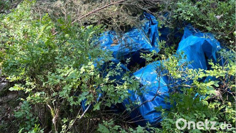 Die Polizei hat hochwertiges Diebesgut in einem Wald gefunden. Bild: PI Burglengenfeld