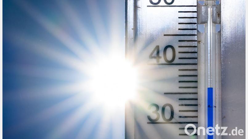 Forscher haben berechnet, welchen Anteil der Klimawandel an der aktuellen Hitzewelle hatte. Bild: Patrick Pleul/dpa