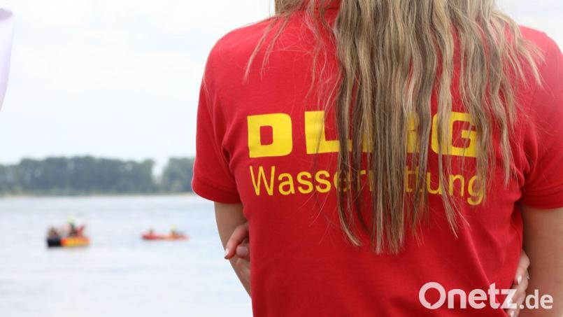 Hundebesitzer sollen ihre Tiere strikt vom Wasser weg halten. (Symbolbild) Bild: Sascha Thelen/dpa