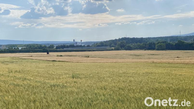 An der A 93 wird gegenüber dem Gewerbe- und Industriegebiet am Fischberg der "Solarpark Oberköblitz" geplant. Bild: Claudia Völkl