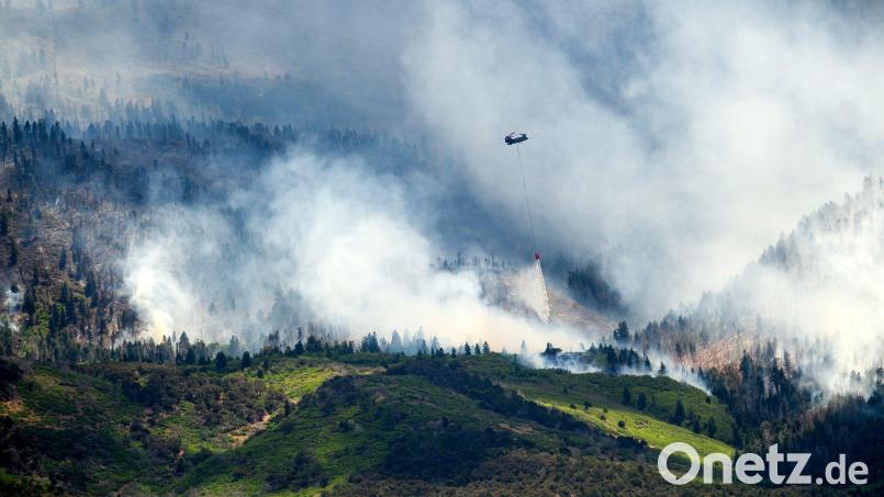 Im Westen der USA kämpfen Feuerwehrleute gegen zahlreiche Brände an. Bild: Noah Berger/FR34727 AP/AP/dpa