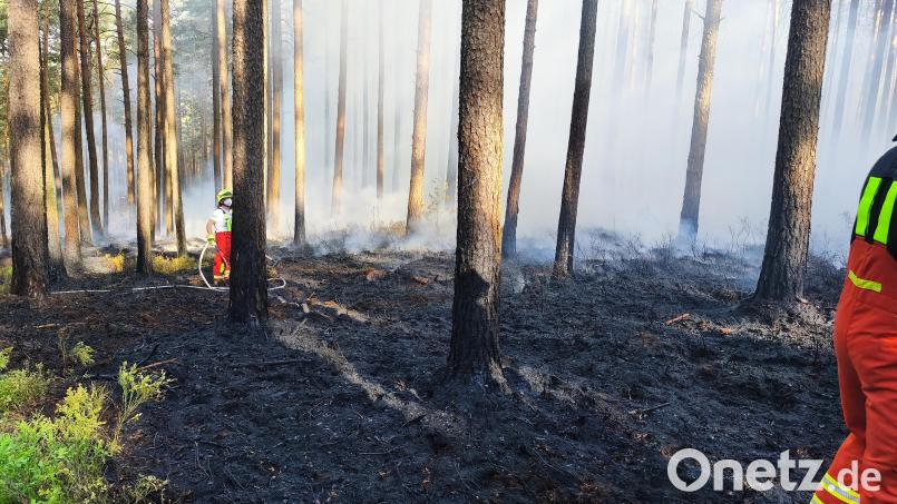 Ein Waldbrand im Manteler Forst hat am Sonntagmorgen zahlreiche Einsatzkräfte gefordert. Brandbekämpfung gab es von vier Seiten. Bild: Jürgen Masching