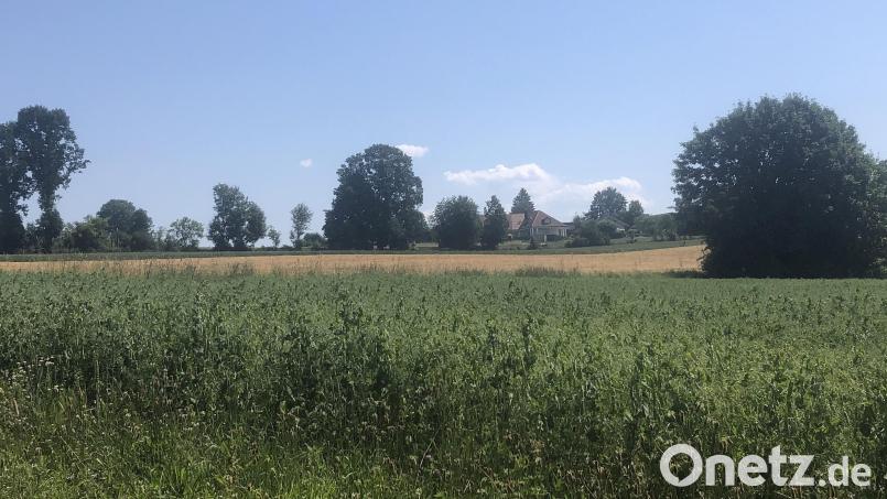 Der Neubau eines Wohnhauses soll auf einer dieser Flächen im Westen der Marktgemeinde Wiesau im Rahmen des Bauturbos verwirklicht werden. Bild: Werner Robl