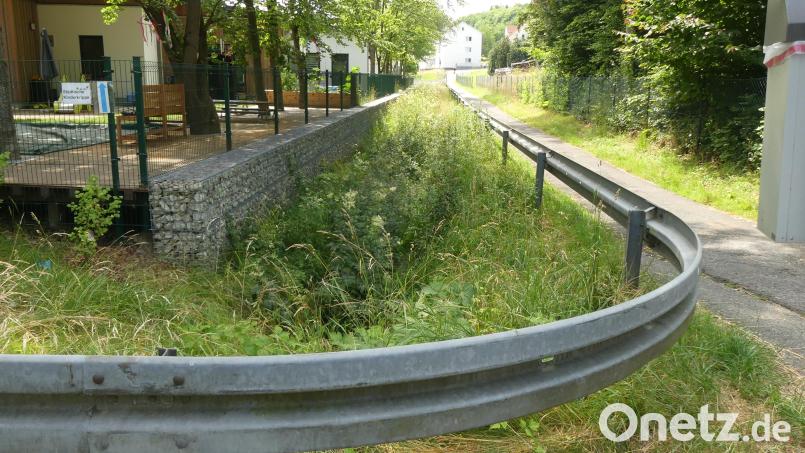 Auf diesem Fußweg neben dem Weidelbachgraben sollen sich nach dem Ausbau auch Kinderwagen und Rollstuhlfahrer begegnen können. Bild: Walther Hermann