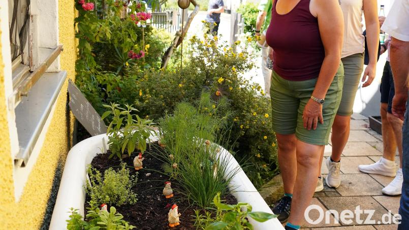 Auch Ausgefallenes wie den Garten in der Badewanne gab es beim "Tag der offenen Gartentür" zu sehen. Bild: Jürgen Masching