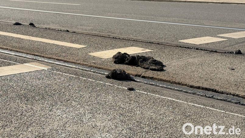 Durch die Hitze löste sich an vielen Orten die Füllmasse an den Straßenbahnschienen. Bild: Irena Güttel/dpa