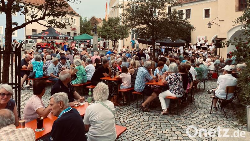 Trotz tropischer Temperaturen bot die Metro-Bigband aus Weiden ein tolles Konzert auf dem historischen Marktplatz in Luhe. Bild: Martina Witt