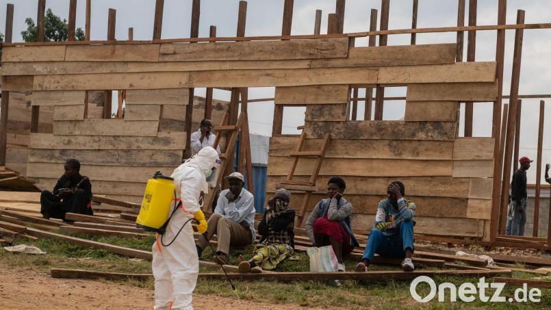 UNDP: Ebola führt auch zu einem Wirtschaftseinbruch. (Archivbild) Bild: Moses Sawasawa/AP/dpa