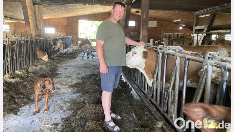 Landwirt Christian Rester hat auf seinem Bio-Bauernhof in Ebermannsdorf rund 90 Kühe. Bild: Stefanie Swann