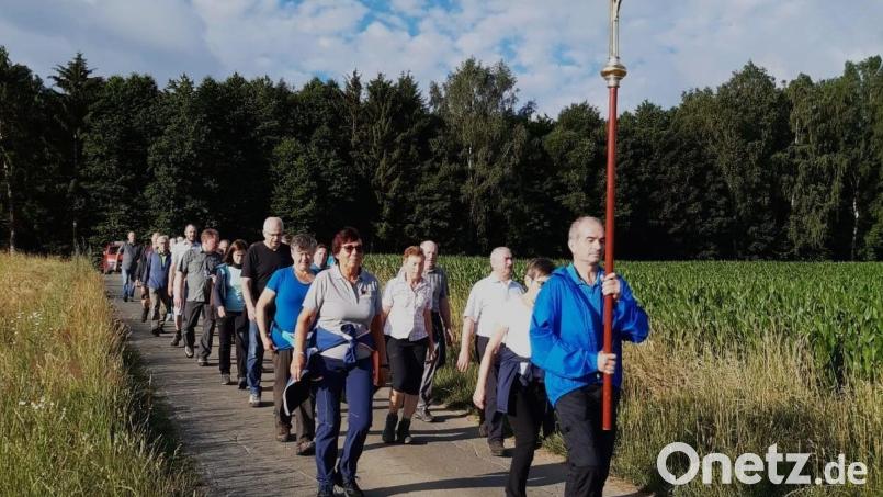 Die Pilger folgen dem Kreuz in der kühlen morgendlichen Landschaft durch Felder, Wiesen und Wälder. Heuer machen sie sich zum 50. Mal auf den Weg zum Fahrenberg. Bild: Irene Träxler