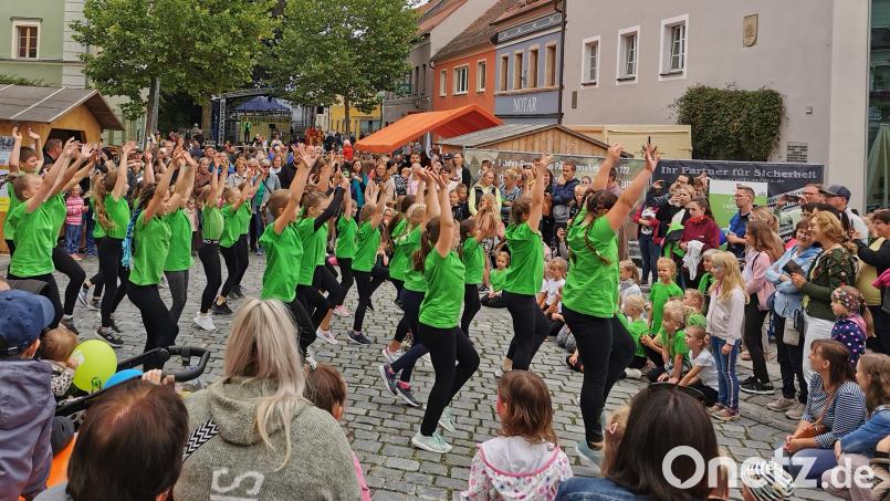 Hände hoch und Stimmung: Der Auftritt der AWO-Tanzgruppe am Marktplatz Oberviechtach wird sicher auch beim Bürgerfest 2026 einer der Höhepunkte sein. Archivbild: Portner