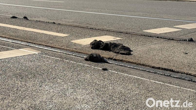 In der Hitze ist Bitumen weich geworden und klebt wie zähes Kaugummi an Schienen und Rädern der Straßenbahnen (Archivbild) Bild: Irena Güttel/dpa