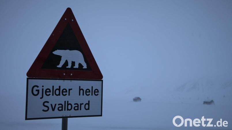 Ein Schild warnt auf Spitzbergen vor Eisbären. (Symbolbild) Bild: Steffen Trumpf/dpa