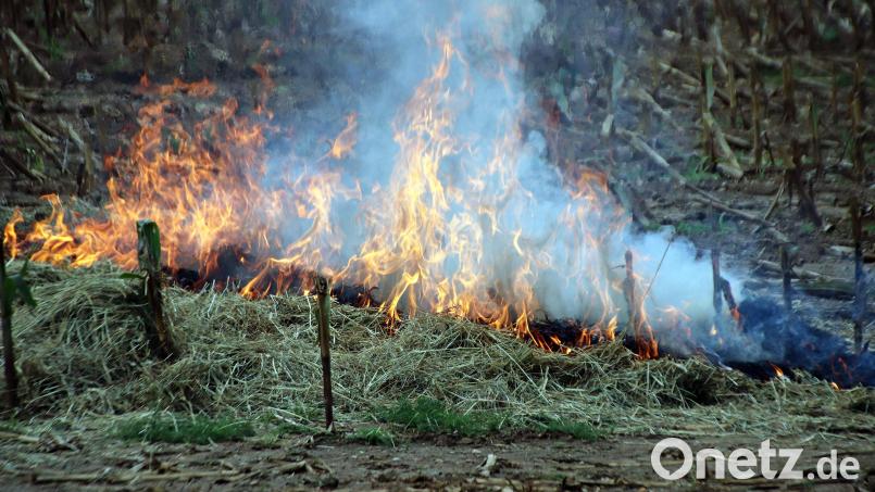Ein Waldbrand kann schnell dazu führen, dass überörtliche Hilfe erforderlich ist. Dafür gibt es im Landkreis Feuerwehren, die Sonderfahrzeuge für den landkreisweiten Einsatz haben. Zum Beispiel die Feuerwehr Auerbach, deren 35 Jahre altes Tanklöschfahrzeug jetzt durch ein TLF 3000 ersetzt werden muss. Archivbild: Jürgen Masching