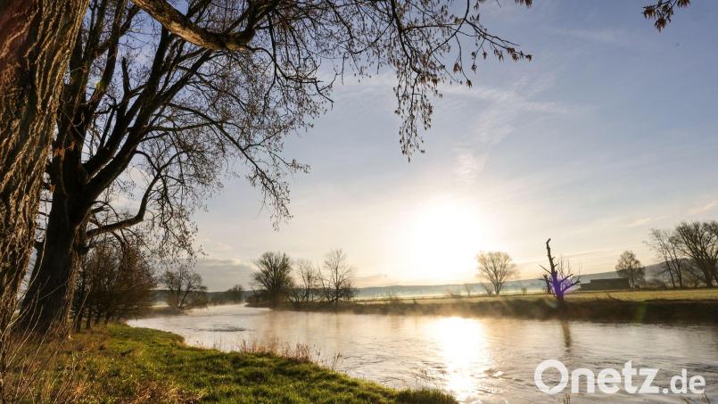 Der Dresdner Extremschwimmer Joseph Heß will die Donau von Ulm bis zur Mündung durchschwimmen. (Symbolbild) Bild: Thomas Warnack/dpa