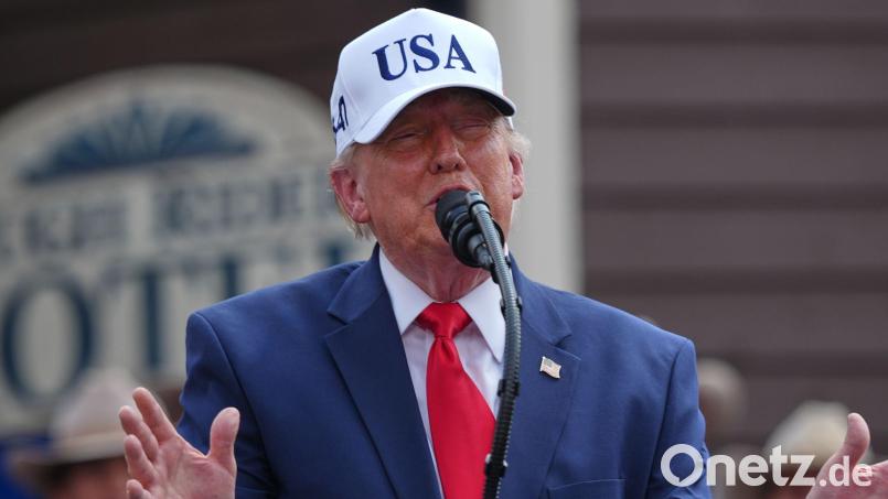 Trump teilt wieder verbal gegen europäische Nato-Partner aus. (Archivbild) Bild: Julia Demaree Nikhinson/AP/dpa