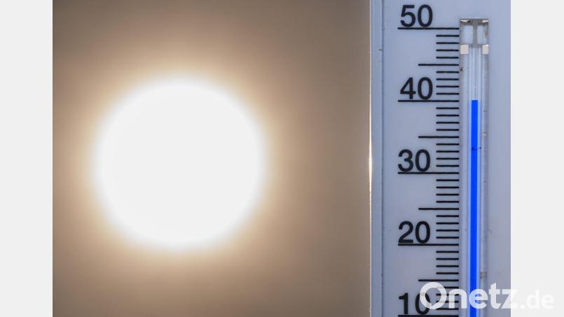 Zwei von drei Deutschen machen sich Sorgen, dass der Klimawandel unsere Lebensgrundlagen zerstört. (Symbolbild) Bild: Patrick Pleul/dpa