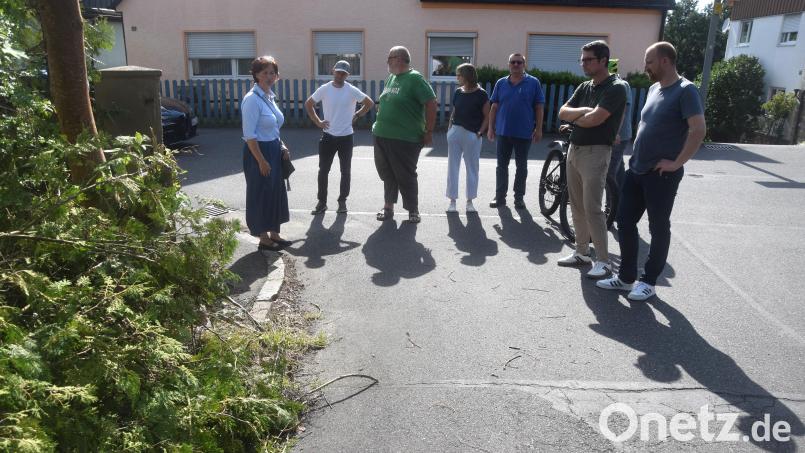 Bürgermeisterin Tanja Kippes (links) zeigte den Mitgliedern des Bauausschusses den einen oder anderen Wildwuchs an Straßenrändern. Bild: Ernst Frischholz