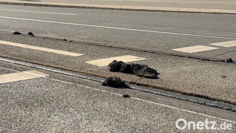 Wann alle Straßenbahnen wieder fahren, ist weiterhin unklar. (Archivbild) Bild: Irena Güttel/dpa