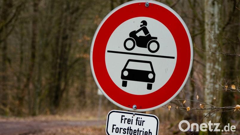 Um ins Tal zu gelangen, nutzt der Mann eine Forststraße. (Symbolbild) Bild: Nicolas Armer/dpa