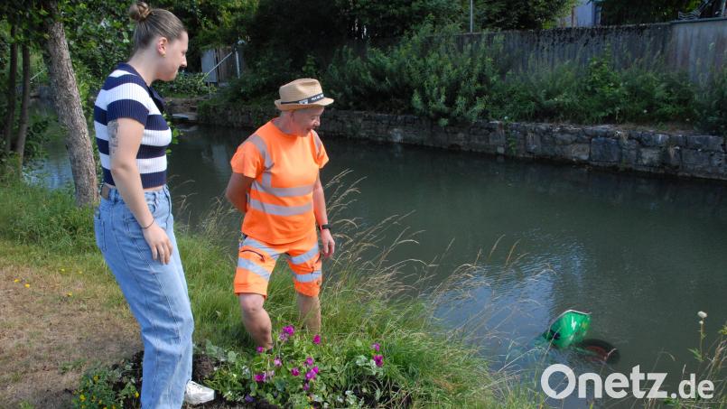 Am Wochenende wurden in Schmidmühlen reihenweise von Kindern gestaltete und vom Markt und Kulturverein bepflanzte und gepflegte Blumenschubkarren in die Lauterach geworfen. Bild: Josef Popp